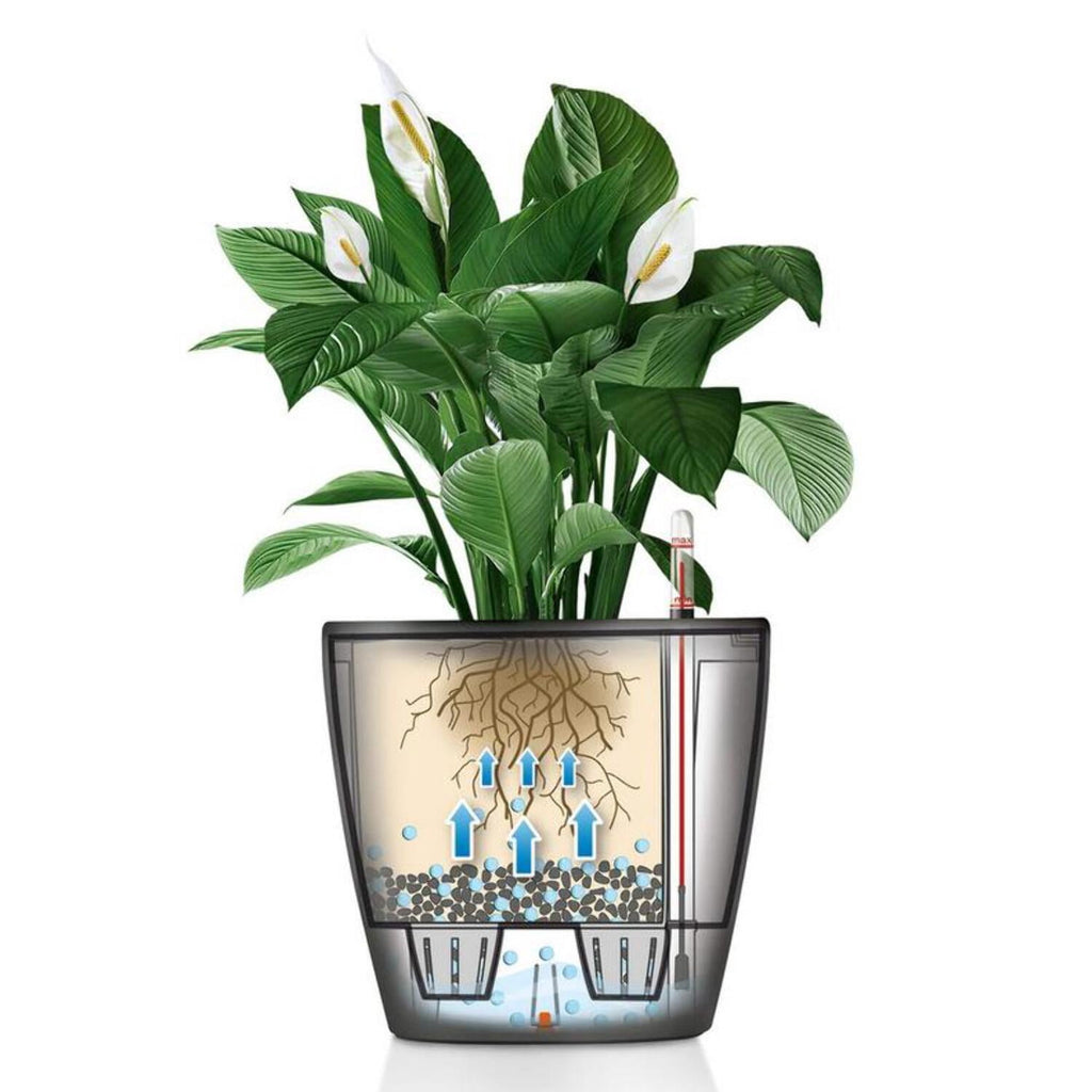 Lechuza Classico Premium Self-Watering Round Planter