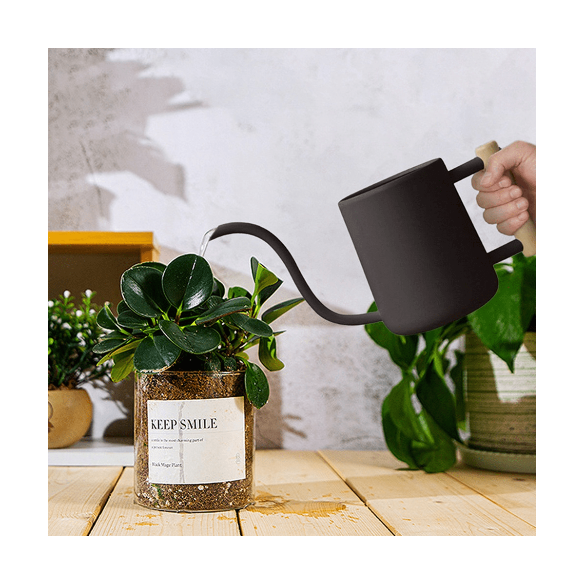 Watering Can Indoor Plants, 35 /1000 Ml Metal Stainless Steel Watering Can Pot with Long Spout for Indoor House Black