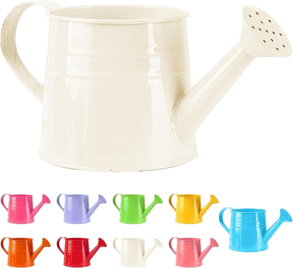 Watering Can Outdoor, 0.25 Gallon Metal Small Capacity Watering Can Indoor Plants with Sprinkler Head,Decorative Lightweight Durable Watering Cans for Garden Lawn Bonsai Greenhouse