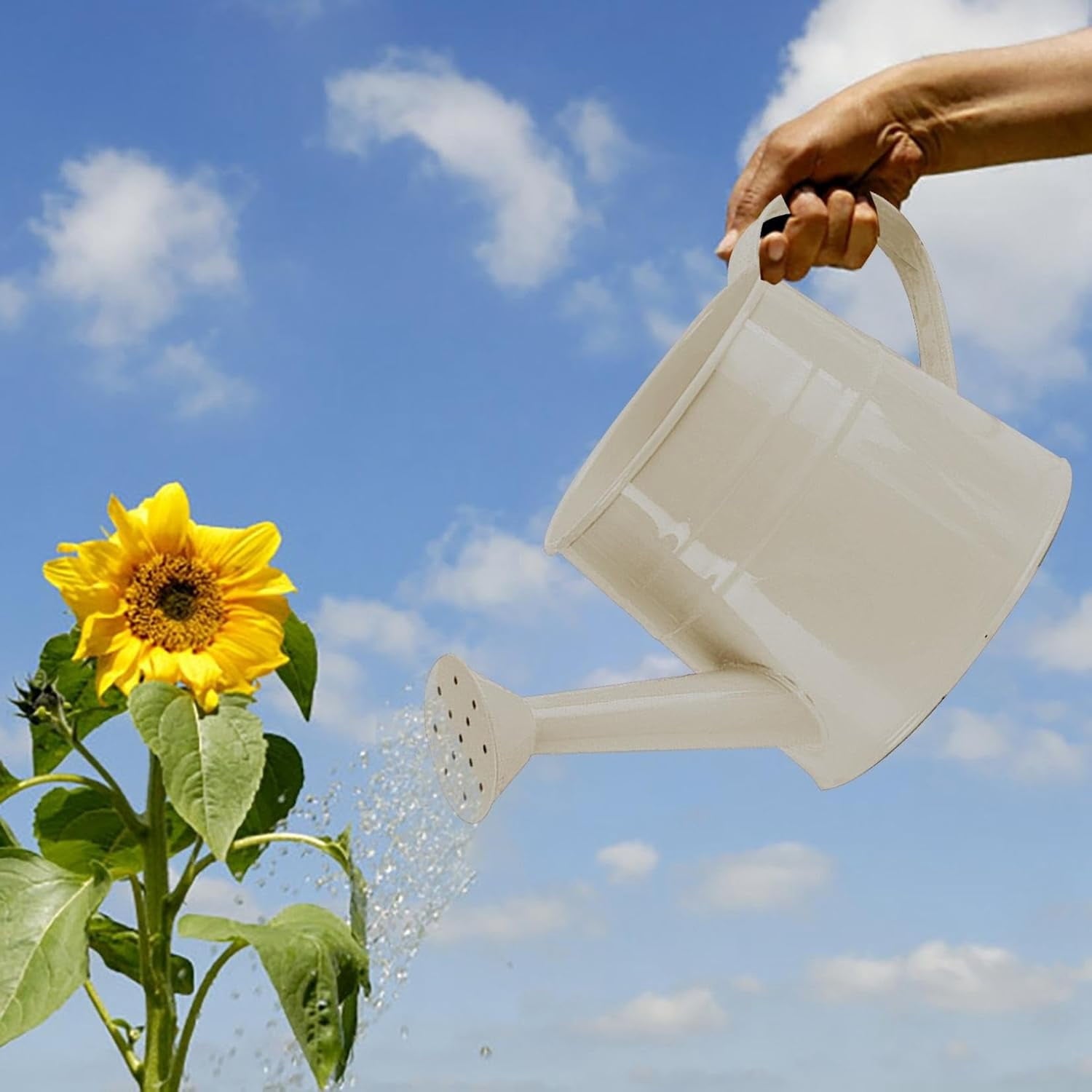 Watering Can Outdoor, 0.25 Gallon Metal Small Capacity Watering Can Indoor Plants with Sprinkler Head,Decorative Lightweight Durable Watering Cans for Garden Lawn Bonsai Greenhouse