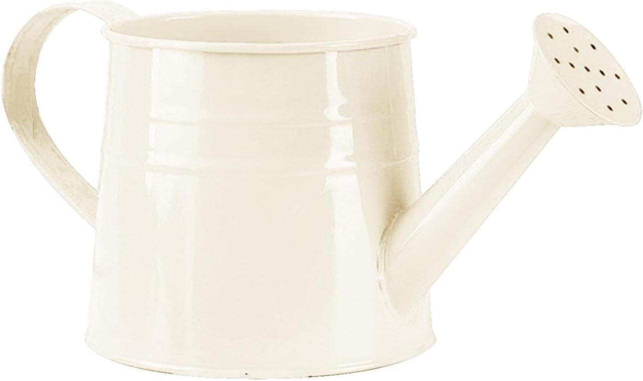 Watering Can Outdoor, 0.25 Gallon Metal Small Capacity Watering Can Indoor Plants with Sprinkler Head,Decorative Lightweight Durable Watering Cans for Garden Lawn Bonsai Greenhouse