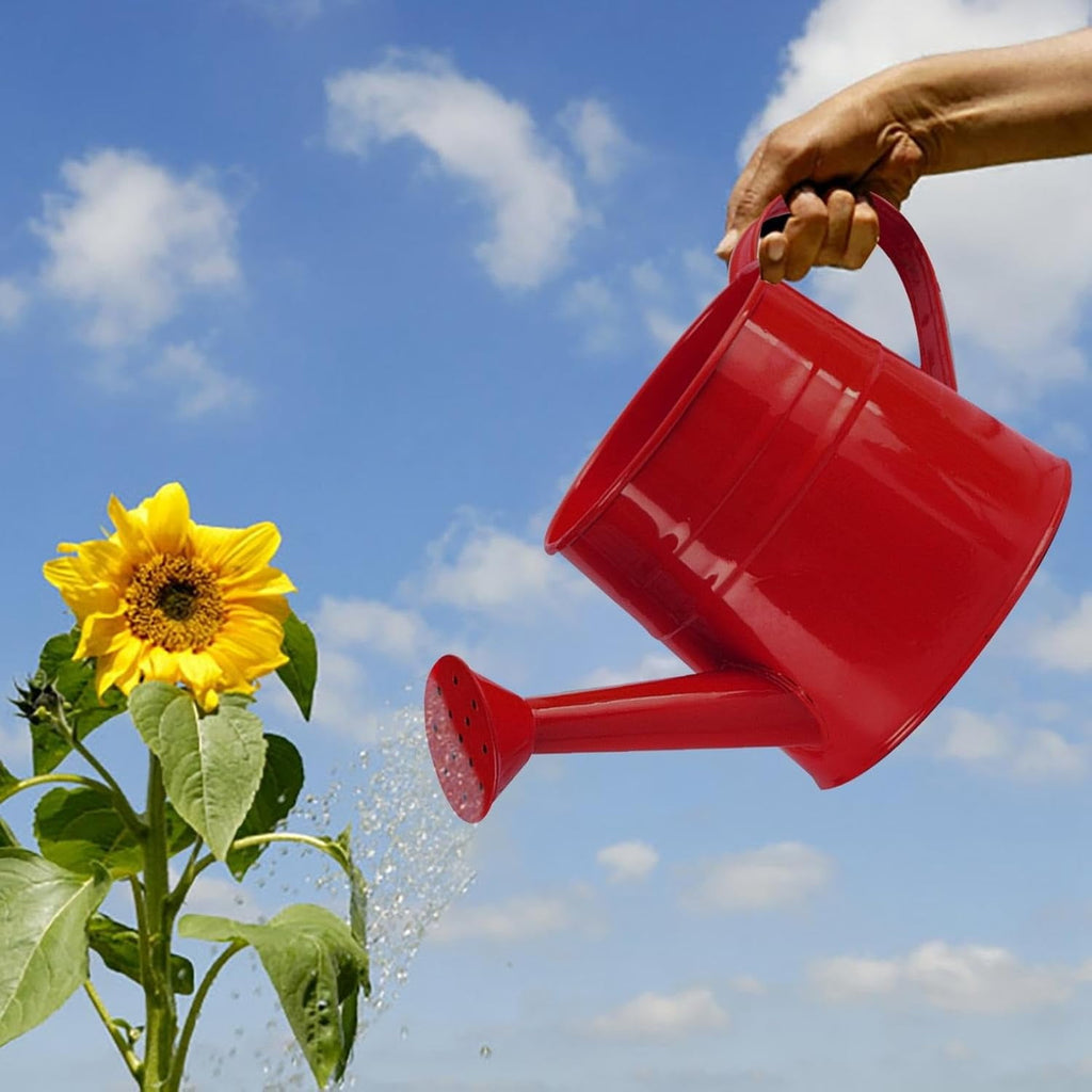 Watering Can Outdoor, 0.25 Gallon Metal Small Capacity Watering Can Indoor Plants with Sprinkler Head,Decorative Lightweight Durable Watering Cans for Garden Lawn Bonsai Greenhouse