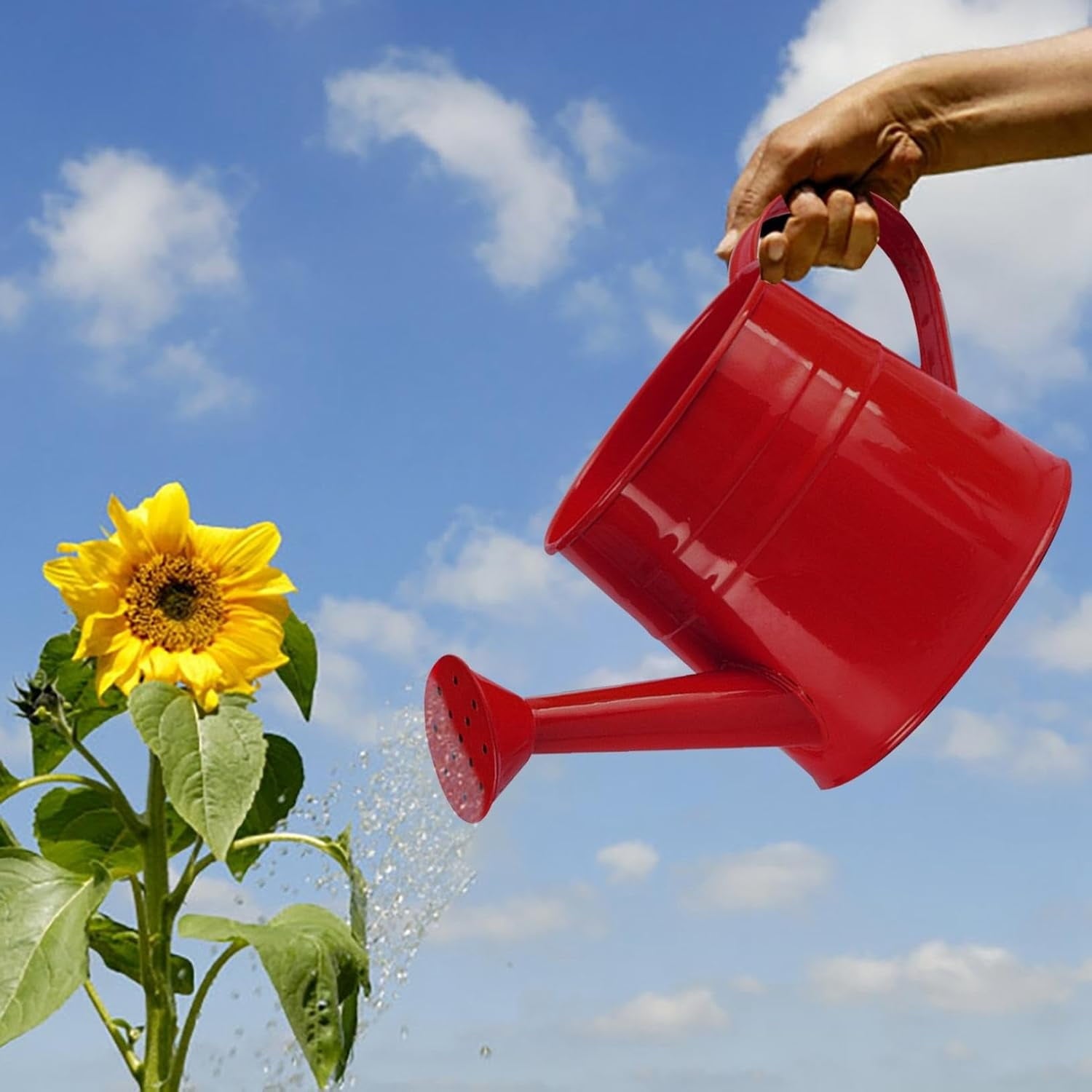 Watering Can Outdoor, 0.25 Gallon Metal Small Capacity Watering Can Indoor Plants with Sprinkler Head,Decorative Lightweight Durable Watering Cans for Garden Lawn Bonsai Greenhouse