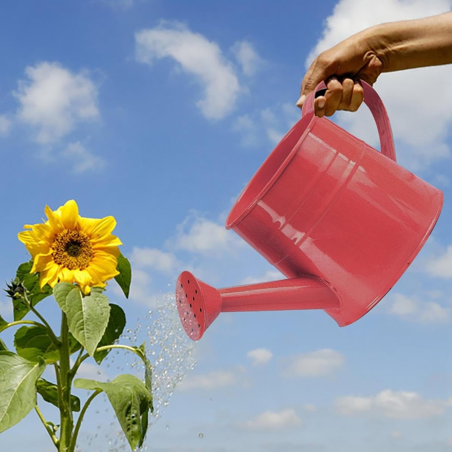 Watering Can Outdoor, 0.25 Gallon Metal Small Capacity Watering Can Indoor Plants with Sprinkler Head,Decorative Lightweight Durable Watering Cans for Garden Lawn Bonsai Greenhouse