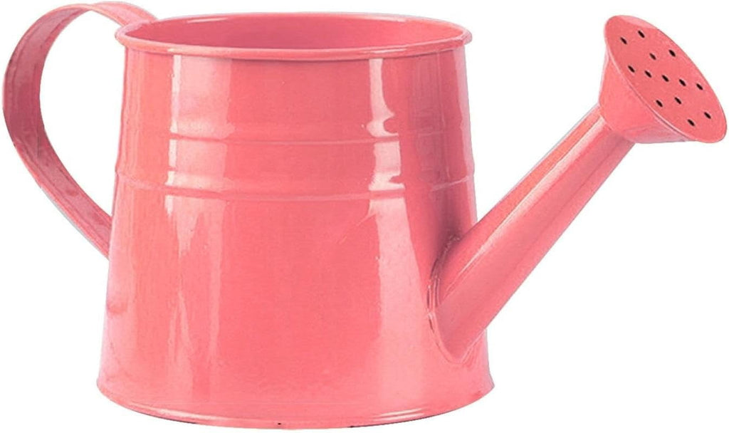 Watering Can Outdoor, 0.25 Gallon Metal Small Capacity Watering Can Indoor Plants with Sprinkler Head,Decorative Lightweight Durable Watering Cans for Garden Lawn Bonsai Greenhouse