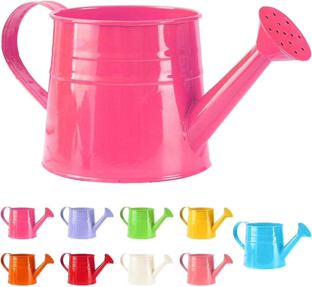 Watering Can Outdoor, 0.25 Gallon Metal Small Capacity Watering Can Indoor Plants with Sprinkler Head,Decorative Lightweight Durable Watering Cans for Garden Lawn Bonsai Greenhouse