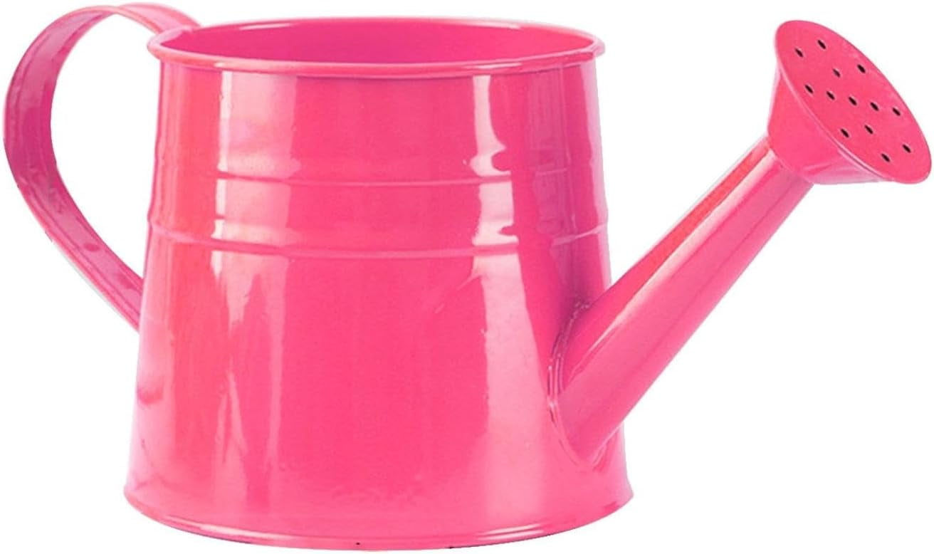 Watering Can Outdoor, 0.25 Gallon Metal Small Capacity Watering Can Indoor Plants with Sprinkler Head,Decorative Lightweight Durable Watering Cans for Garden Lawn Bonsai Greenhouse