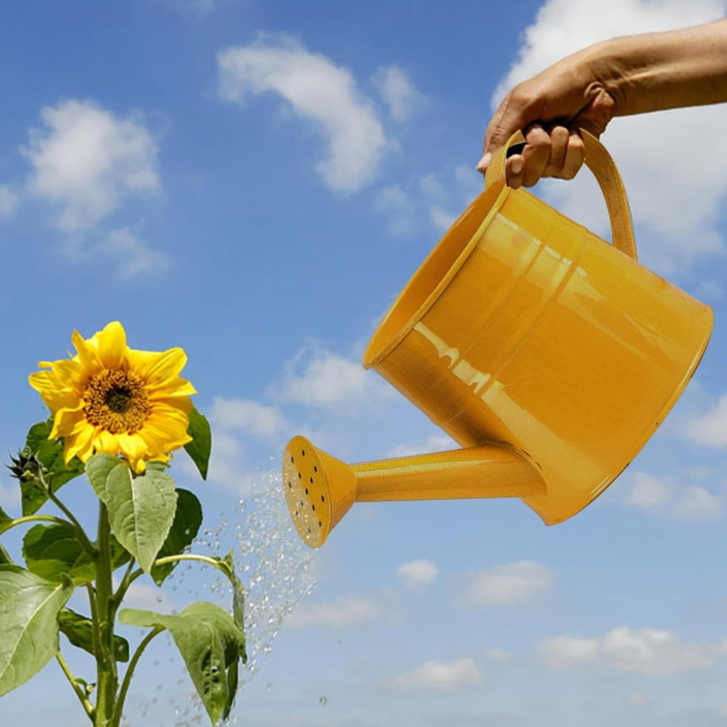 Watering Can Outdoor, 0.25 Gallon Metal Small Capacity Watering Can Indoor Plants with Sprinkler Head,Decorative Lightweight Durable Watering Cans for Garden Lawn Bonsai Greenhouse