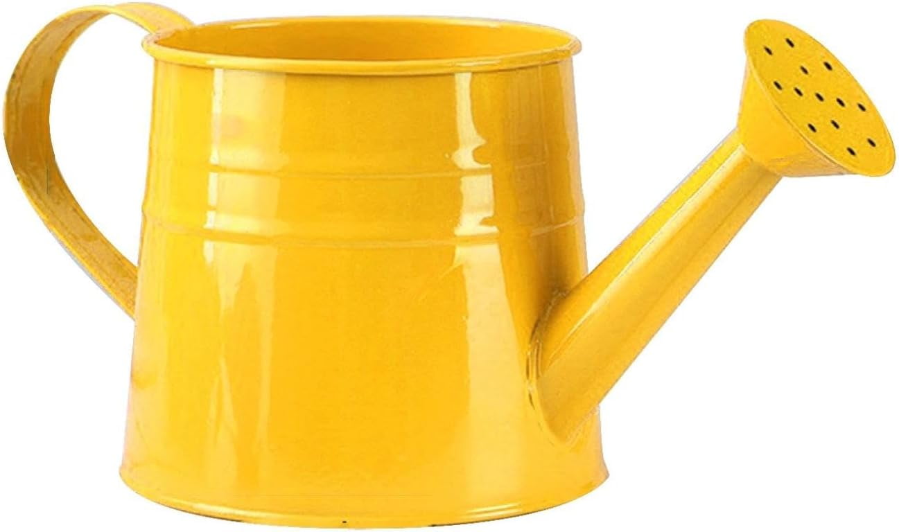 Watering Can Outdoor, 0.25 Gallon Metal Small Capacity Watering Can Indoor Plants with Sprinkler Head,Decorative Lightweight Durable Watering Cans for Garden Lawn Bonsai Greenhouse