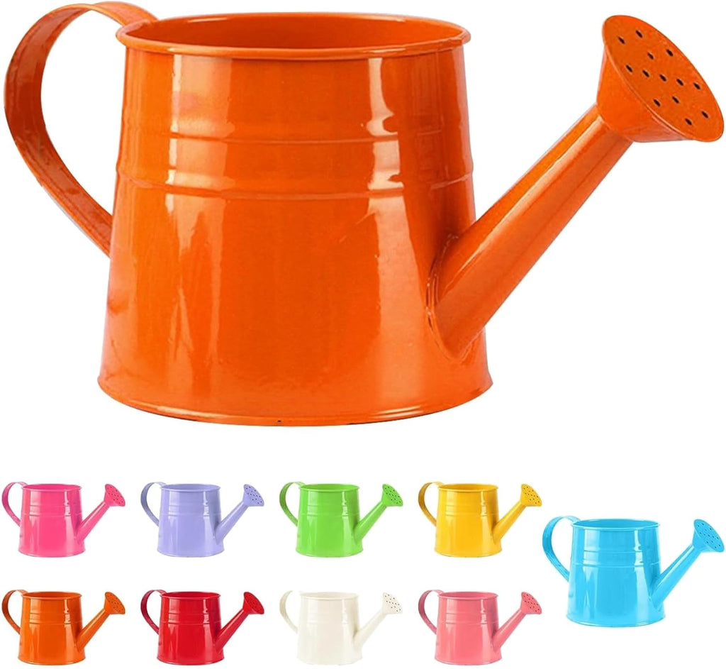 Watering Can Outdoor, 0.25 Gallon Metal Small Capacity Watering Can Indoor Plants with Sprinkler Head,Decorative Lightweight Durable Watering Cans for Garden Lawn Bonsai Greenhouse