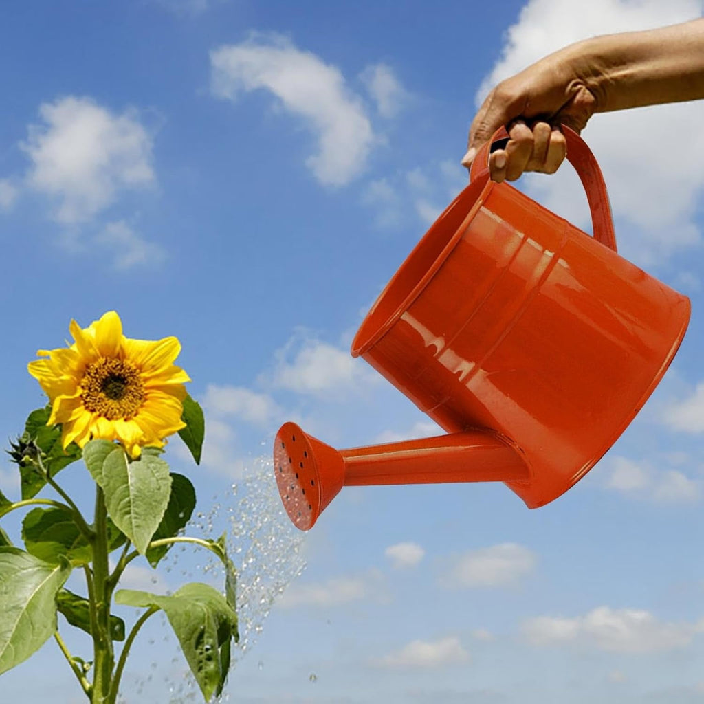 Watering Can Outdoor, 0.25 Gallon Metal Small Capacity Watering Can Indoor Plants with Sprinkler Head,Decorative Lightweight Durable Watering Cans for Garden Lawn Bonsai Greenhouse