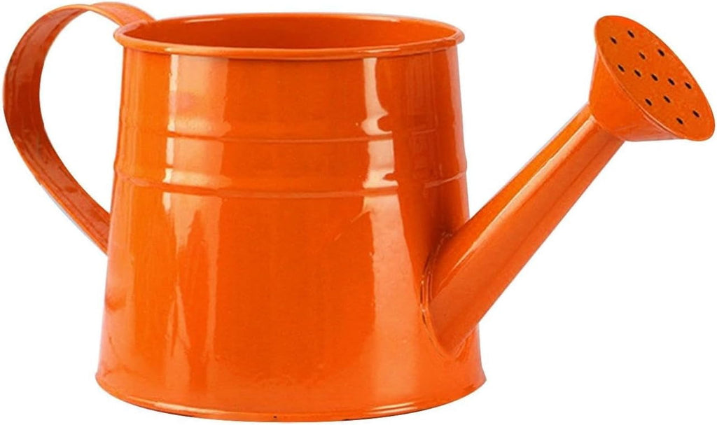 Watering Can Outdoor, 0.25 Gallon Metal Small Capacity Watering Can Indoor Plants with Sprinkler Head,Decorative Lightweight Durable Watering Cans for Garden Lawn Bonsai Greenhouse
