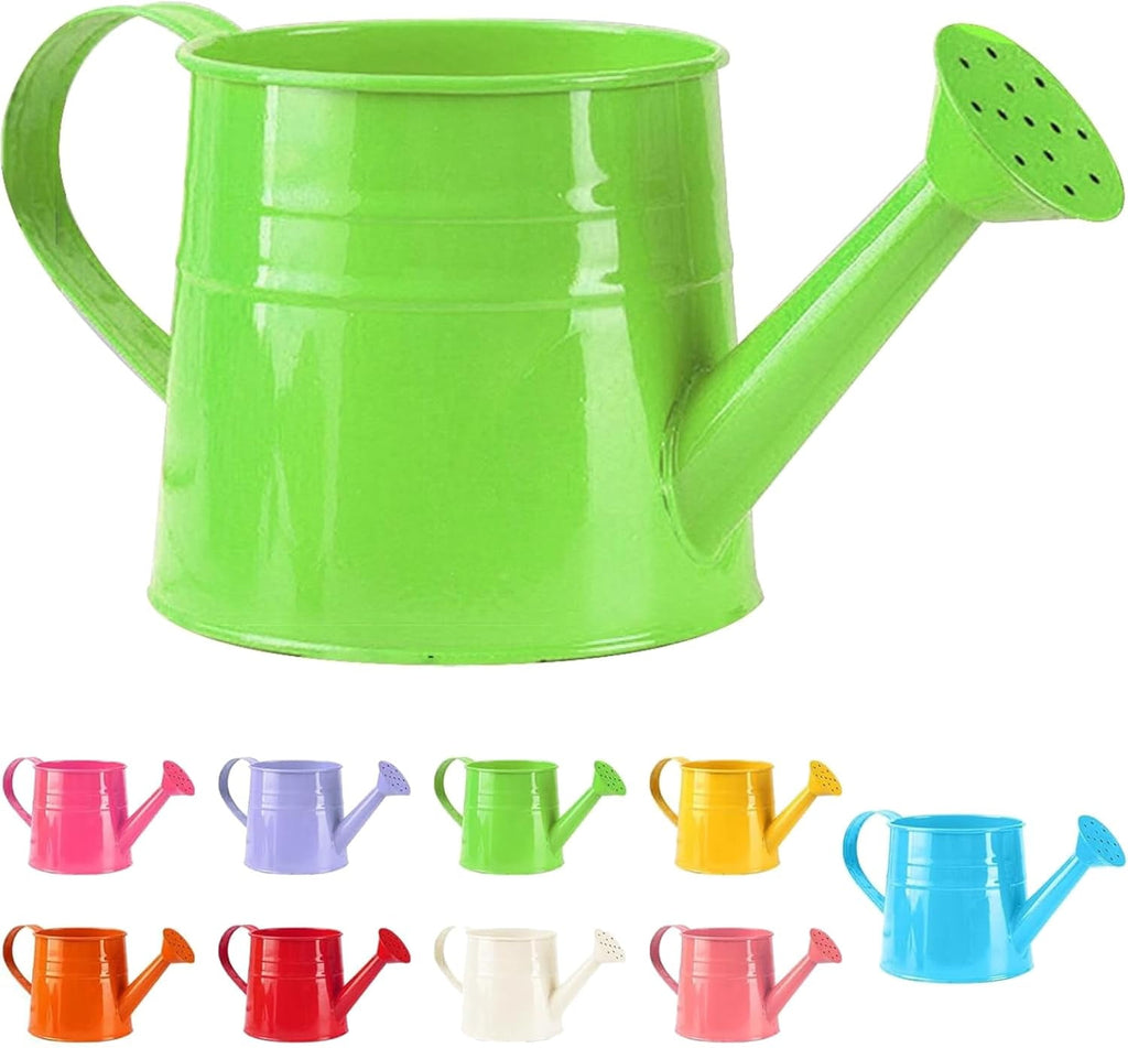 Watering Can Outdoor, 0.25 Gallon Metal Small Capacity Watering Can Indoor Plants with Sprinkler Head,Decorative Lightweight Durable Watering Cans for Garden Lawn Bonsai Greenhouse