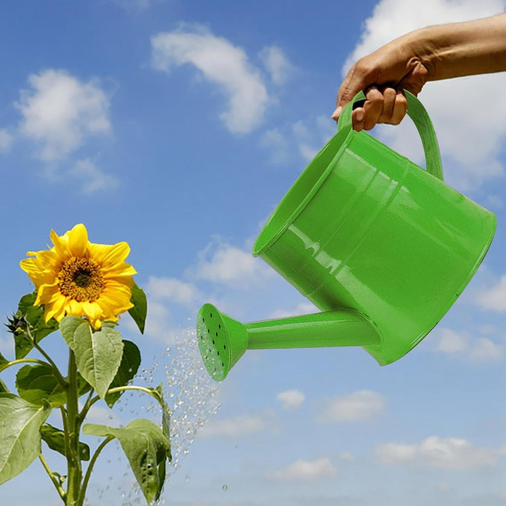 Watering Can Outdoor, 0.25 Gallon Metal Small Capacity Watering Can Indoor Plants with Sprinkler Head,Decorative Lightweight Durable Watering Cans for Garden Lawn Bonsai Greenhouse