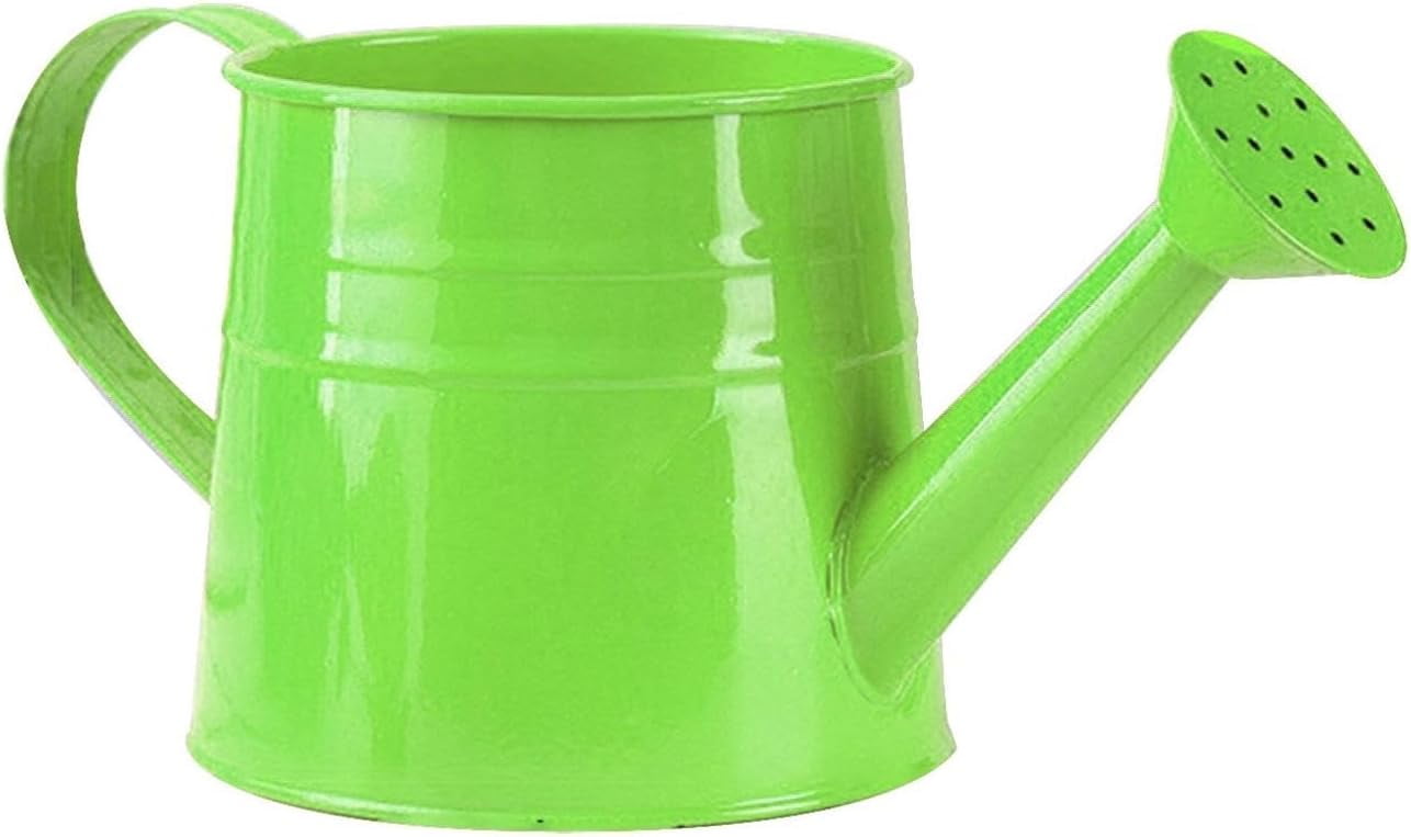 Watering Can Outdoor, 0.25 Gallon Metal Small Capacity Watering Can Indoor Plants with Sprinkler Head,Decorative Lightweight Durable Watering Cans for Garden Lawn Bonsai Greenhouse