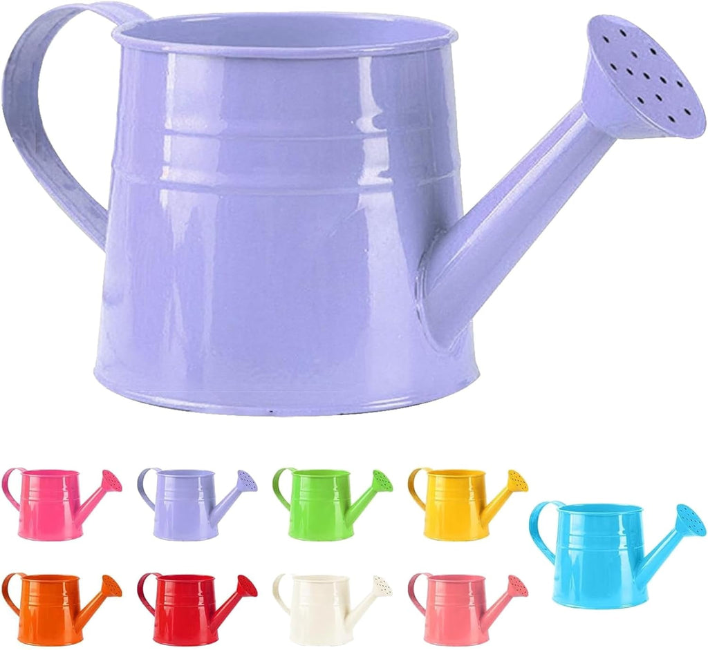 Watering Can Outdoor, 0.25 Gallon Metal Small Capacity Watering Can Indoor Plants with Sprinkler Head,Decorative Lightweight Durable Watering Cans for Garden Lawn Bonsai Greenhouse