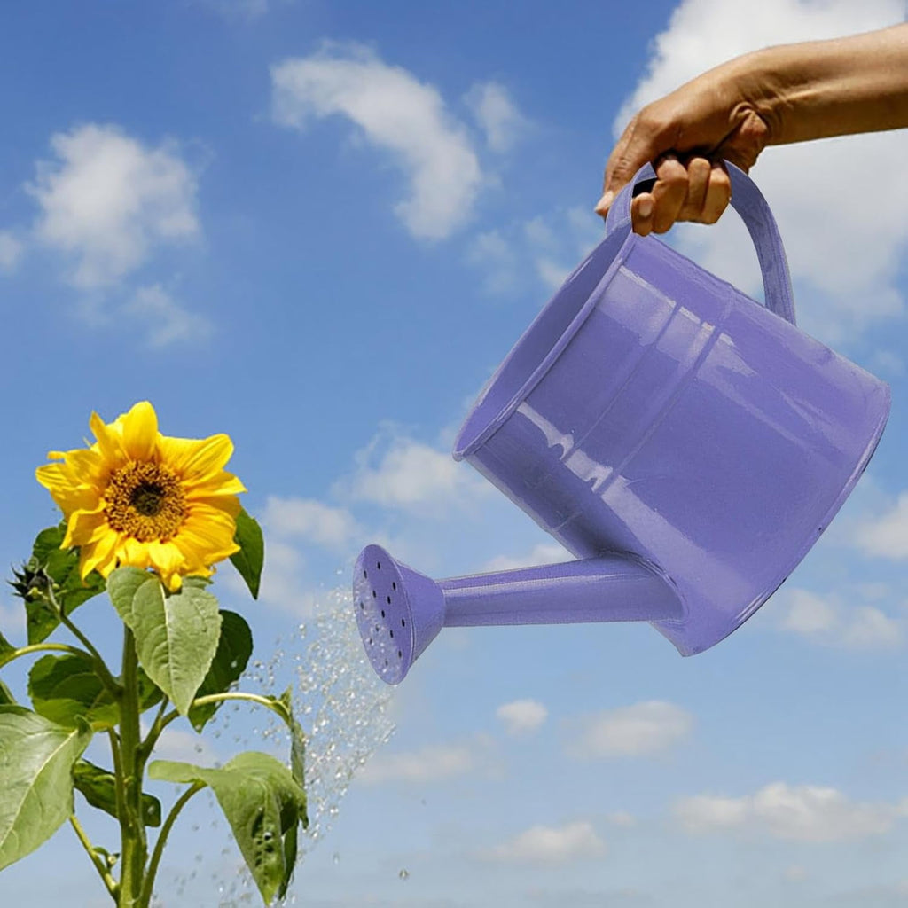 Watering Can Outdoor, 0.25 Gallon Metal Small Capacity Watering Can Indoor Plants with Sprinkler Head,Decorative Lightweight Durable Watering Cans for Garden Lawn Bonsai Greenhouse