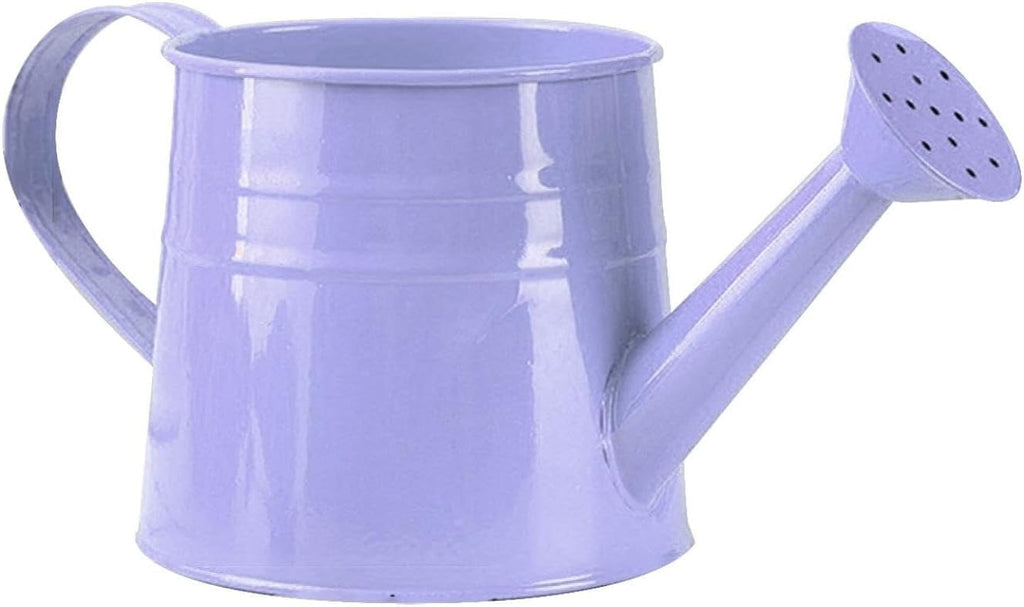 Watering Can Outdoor, 0.25 Gallon Metal Small Capacity Watering Can Indoor Plants with Sprinkler Head,Decorative Lightweight Durable Watering Cans for Garden Lawn Bonsai Greenhouse