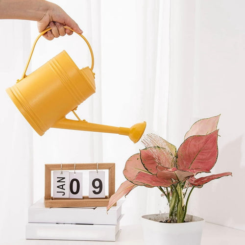 1 * Watering Can-Yellow