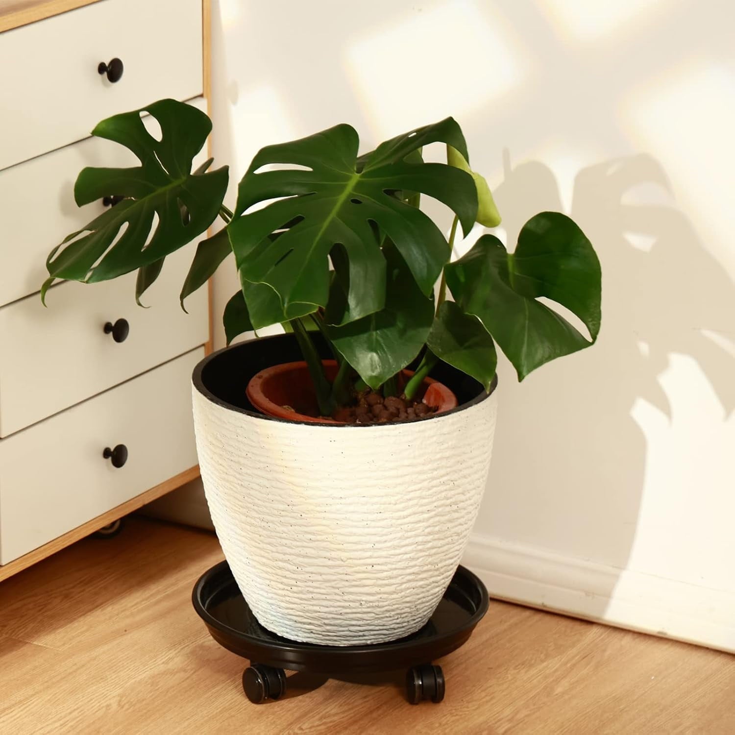 AP8 Packs Large Plant Caddy with PU Wheels 12” Rolling Plant Stands Heavy-duty Plastic Plant Roller Base Pot Movers Plant Saucer on Wheels Indoor Outdoor Plant Dolly with Casters Planter Tray Coaster