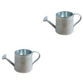 2 Pieces Flower Vase Metal Pot Plant Watering Can Garden Grey