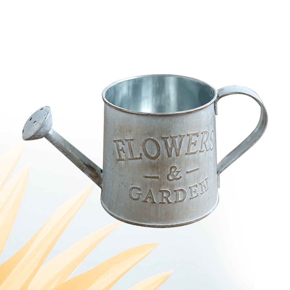 2 Pieces Flower Vase Metal Pot Plant Watering Can Garden Grey