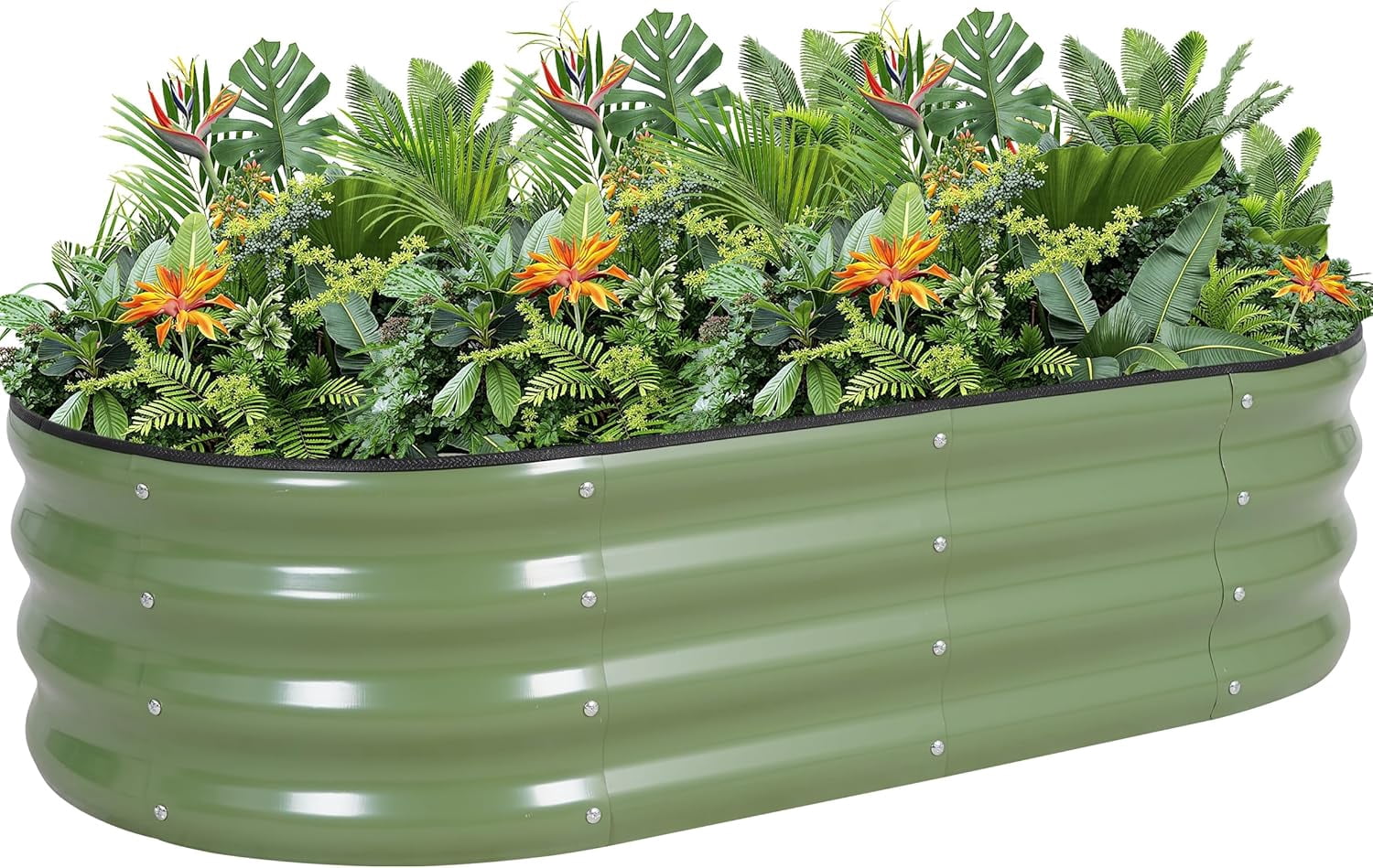 alvanized  Raised arden Bed Kit - 4x2x1FT Outdoor Planter Box with Safety Edin and loves for Veetables, Fruits, (Oliver reen, 1 count)