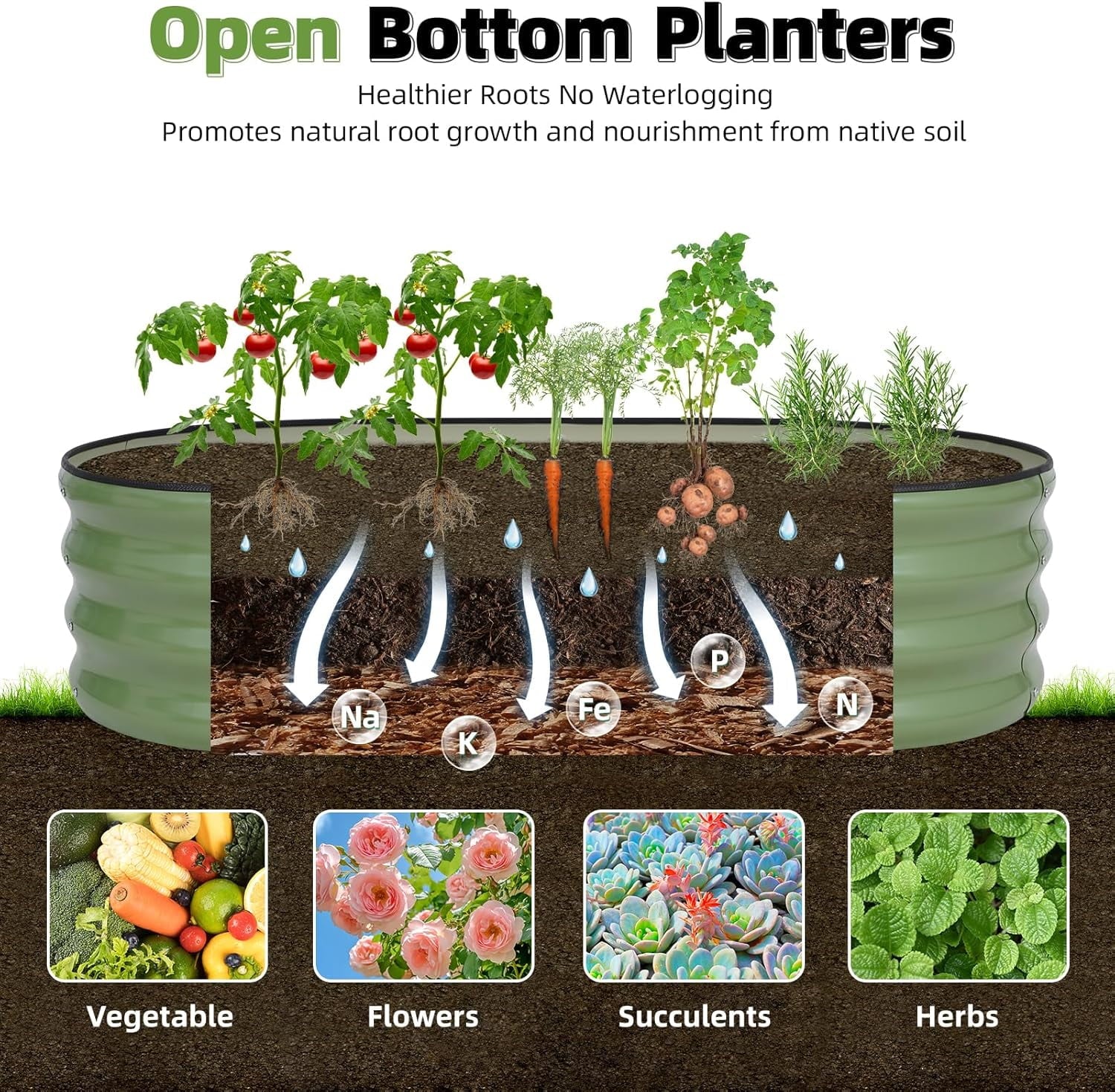 alvanized  Raised arden Bed Kit - 4x2x1FT Outdoor Planter Box with Safety Edin and loves for Veetables, Fruits, (Oliver reen, 1 count)