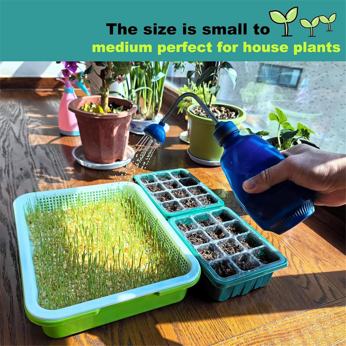 Watering Can for Seedlings, Small Watering Can for House Plant Garden Flower 0.45L Blue
