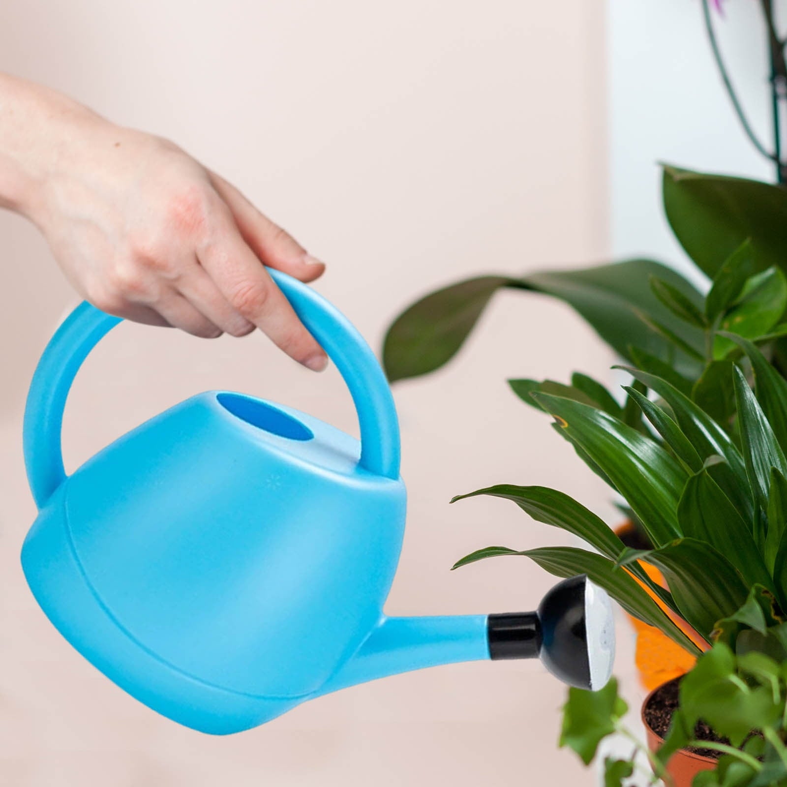 Watering Can Indoor Plants, Long-Spout Water Spray Bucket, Cute Flower Design Small Gardening Can for Indoor and Outdoor Plants