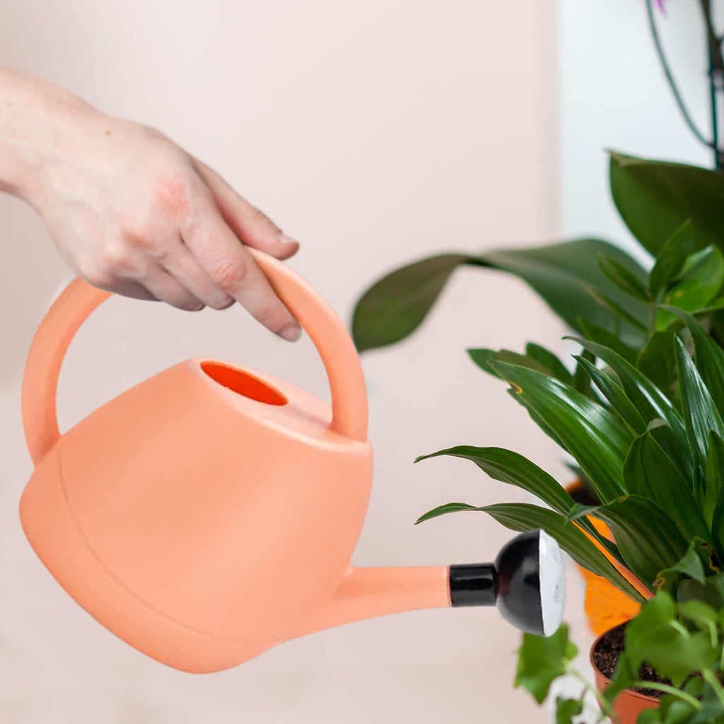 Watering Can Indoor Plants, Long-Spout Water Spray Bucket, Cute Flower Design Small Gardening Can for Indoor and Outdoor Plants