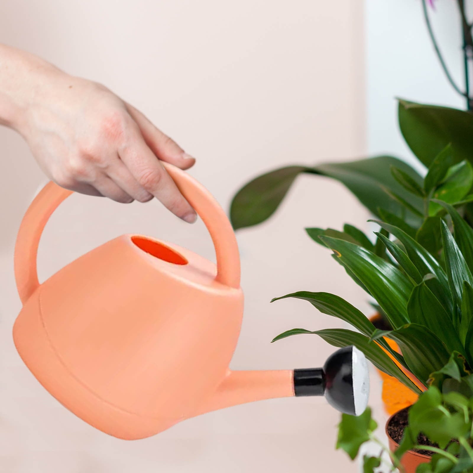 Watering Can Indoor Plants, Long-Spout Water Spray Bucket, Cute Flower Design Small Gardening Can for Indoor and Outdoor Plants