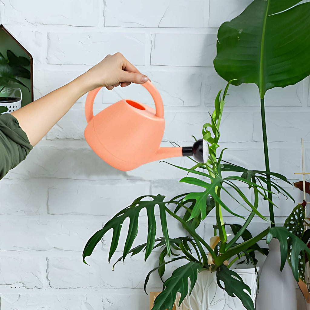 Watering Can Indoor Plants, Long-Spout Water Spray Bucket, Cute Flower Design Small Gardening Can for Indoor and Outdoor Plants