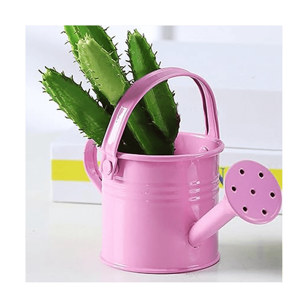 Metal Watering Can, , Children Iron Tin Sprinkling Kettle for Garden Home Plants Flower