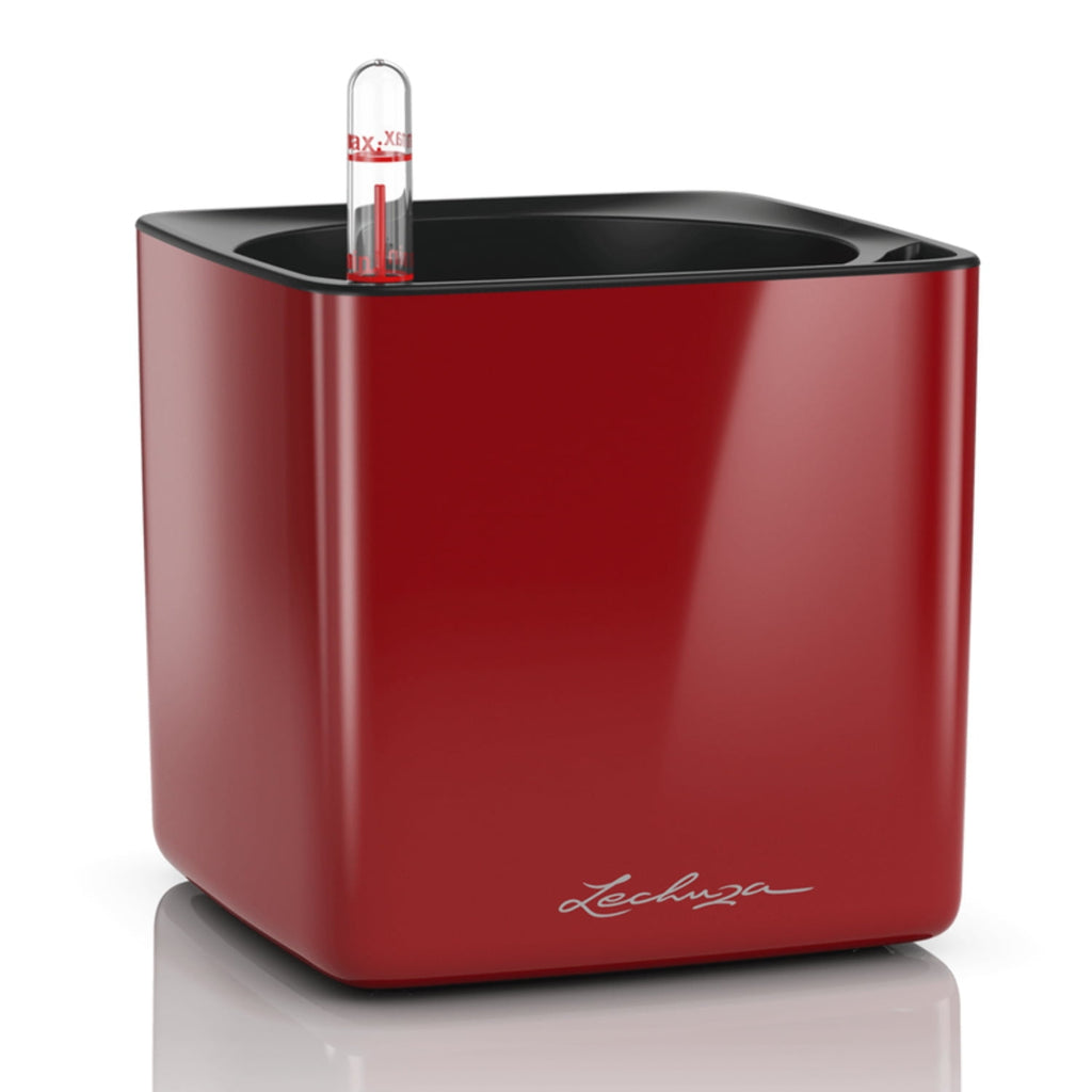 Lechuza Cube Glossy 16 Scarlet Red High Gloss Square Planter, 7"x7"