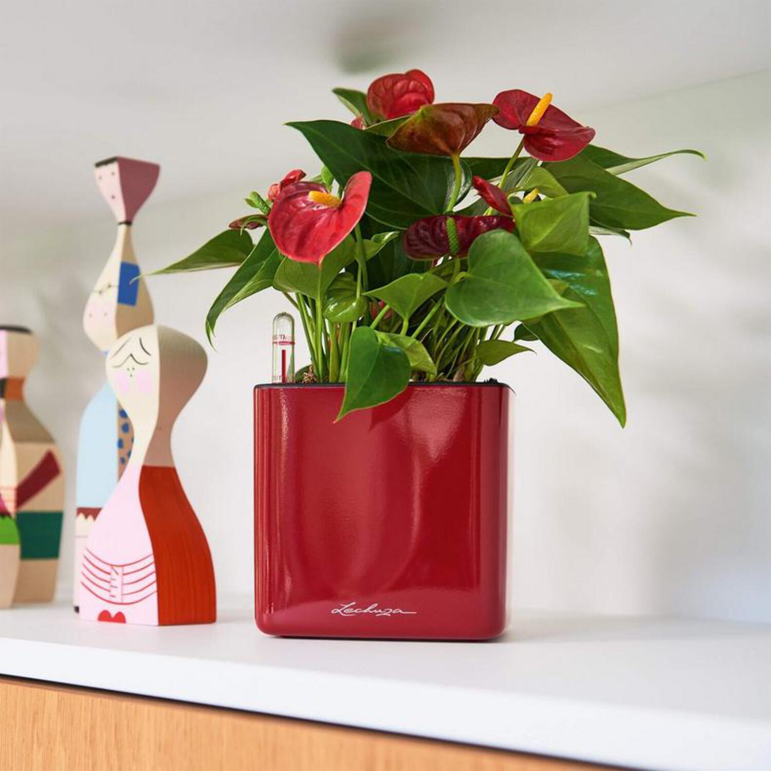 Lechuza Cube Glossy 16 Scarlet Red High Gloss Square Planter, 7"x7"