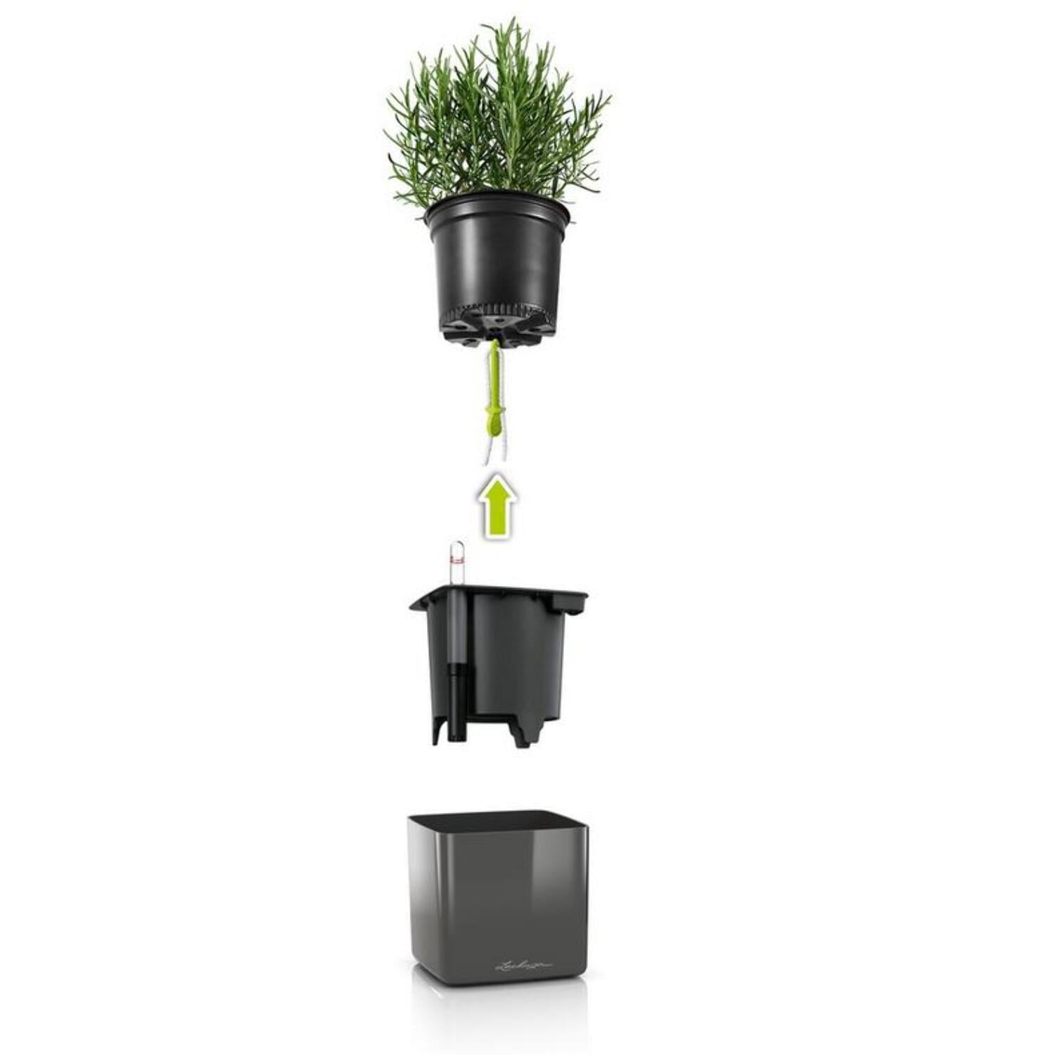 Lechuza Cube Glossy 16 Scarlet Red High Gloss Square Planter, 7"x7"