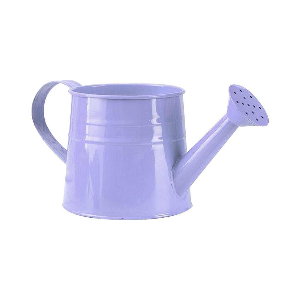 Watering Can, Gardening Tool Accessories, Sprinkling Can Watering Can 4L Metal Flower Garden Watering Can for Outdoor Indoor Lawn Garden