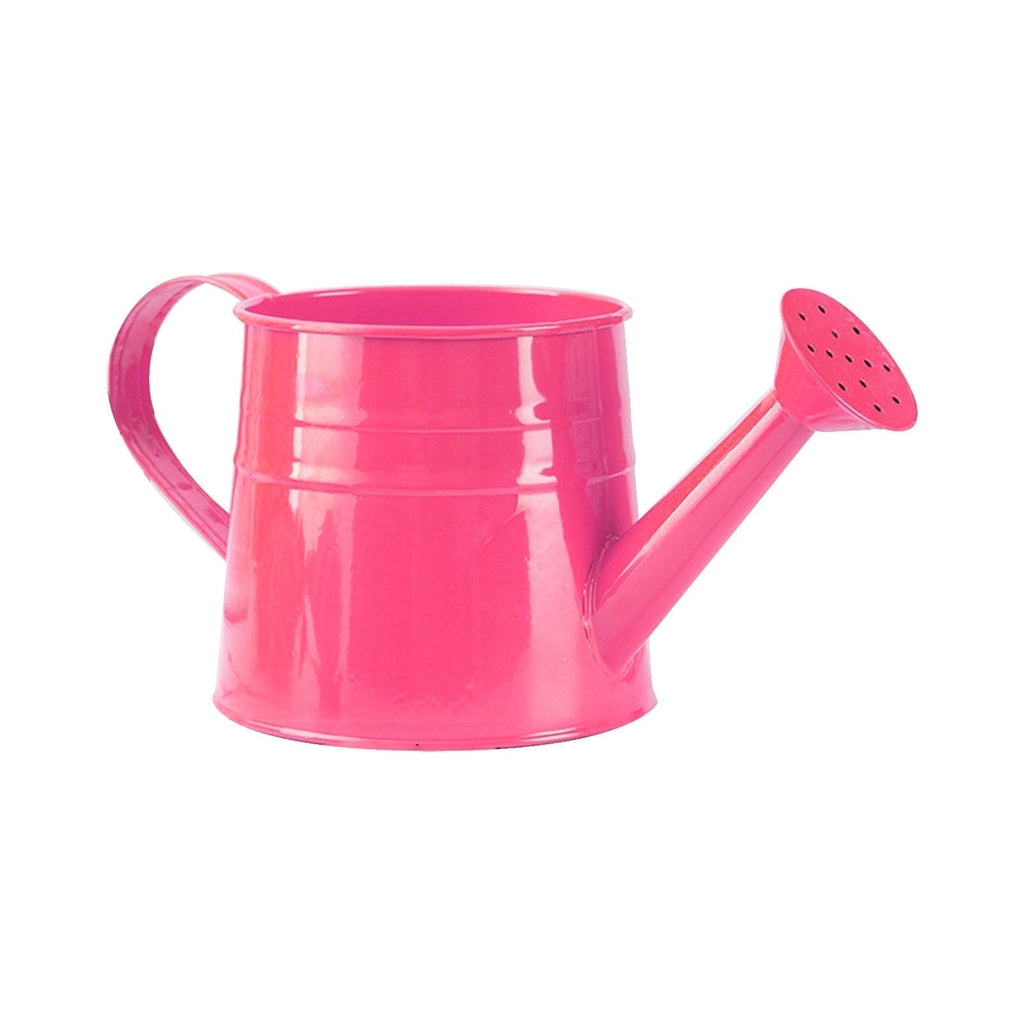Watering Can, Gardening Tool Accessories, Sprinkling Can Watering Can 4L Metal Flower Garden Watering Can for Outdoor Indoor Lawn Garden