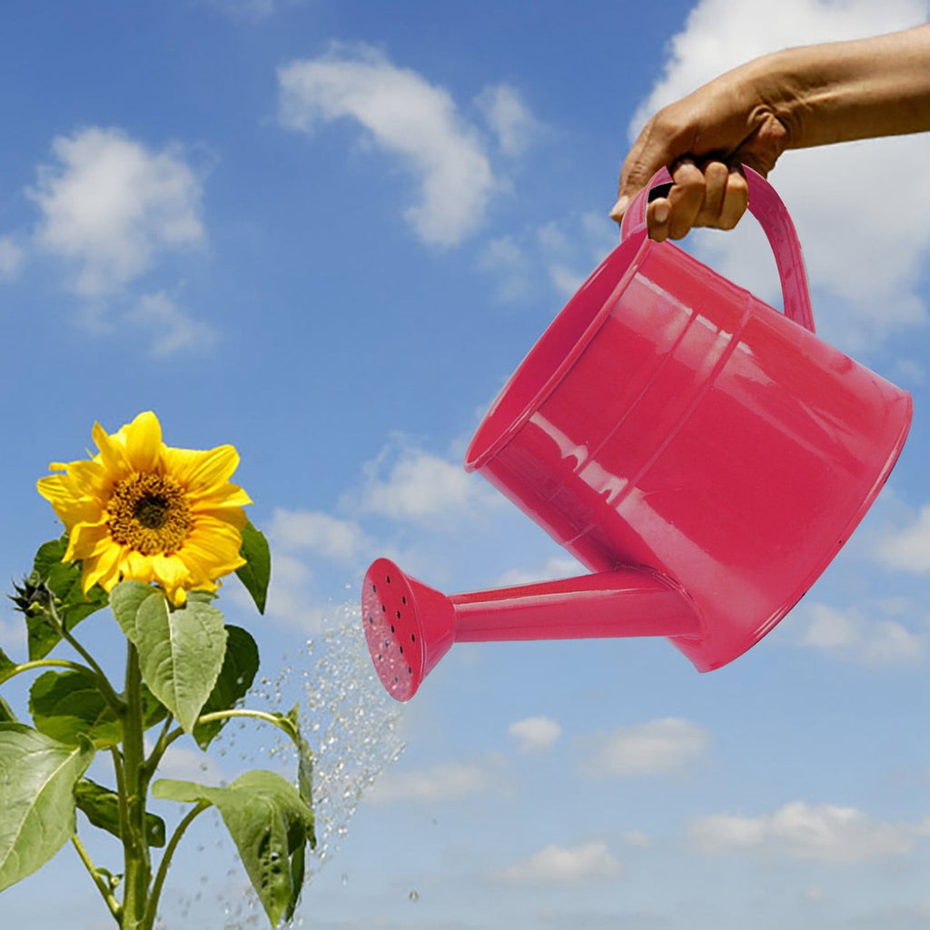 Watering Can, Gardening Tool Accessories, Sprinkling Can Watering Can 4L Metal Flower Garden Watering Can for Outdoor Indoor Lawn Garden