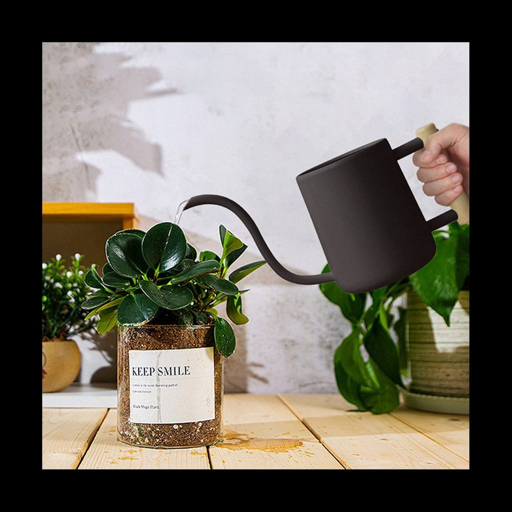 Watering Can Indoor Plants, 35 /1000 Ml Metal Stainless Steel Watering Can Pot with Long Spout for Indoor House White