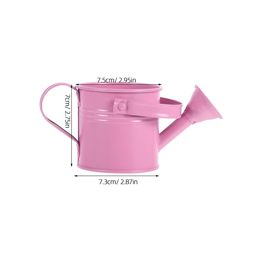 Small Watering Can Bucket for Flowers Succulents 1 Set Kids Friendly Flower Watering Pot