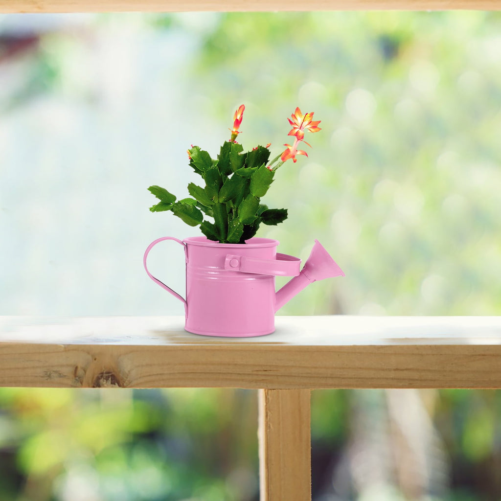 Small Watering Can Bucket for Flowers Succulents 1 Set Kids Friendly Flower Watering Pot