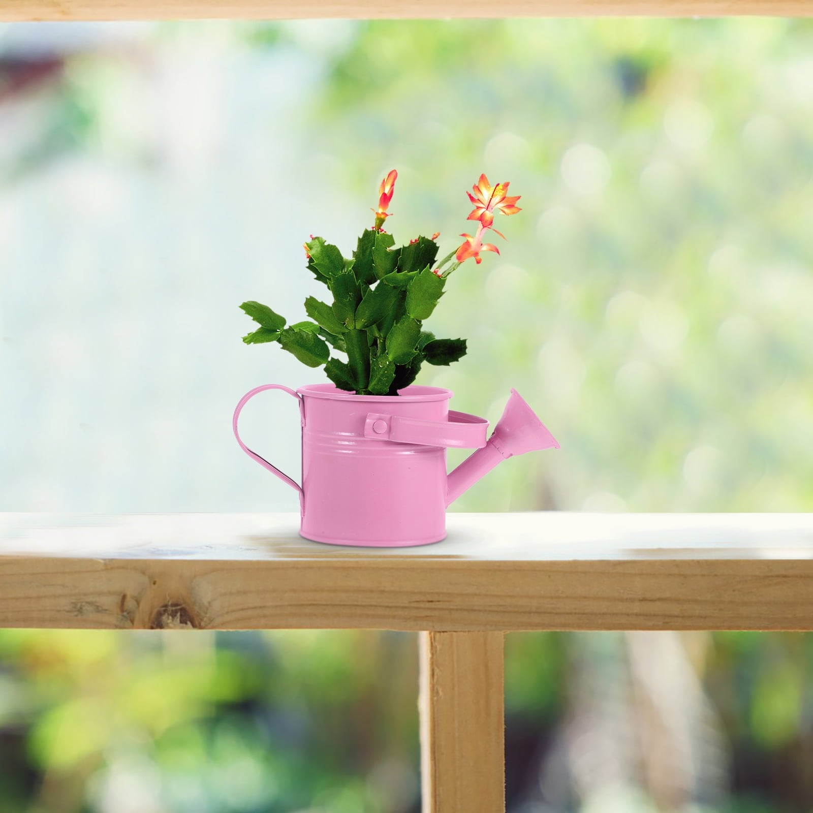 Small Watering Can Bucket for Flowers Succulents 1 Set Kids Friendly Flower Watering Pot