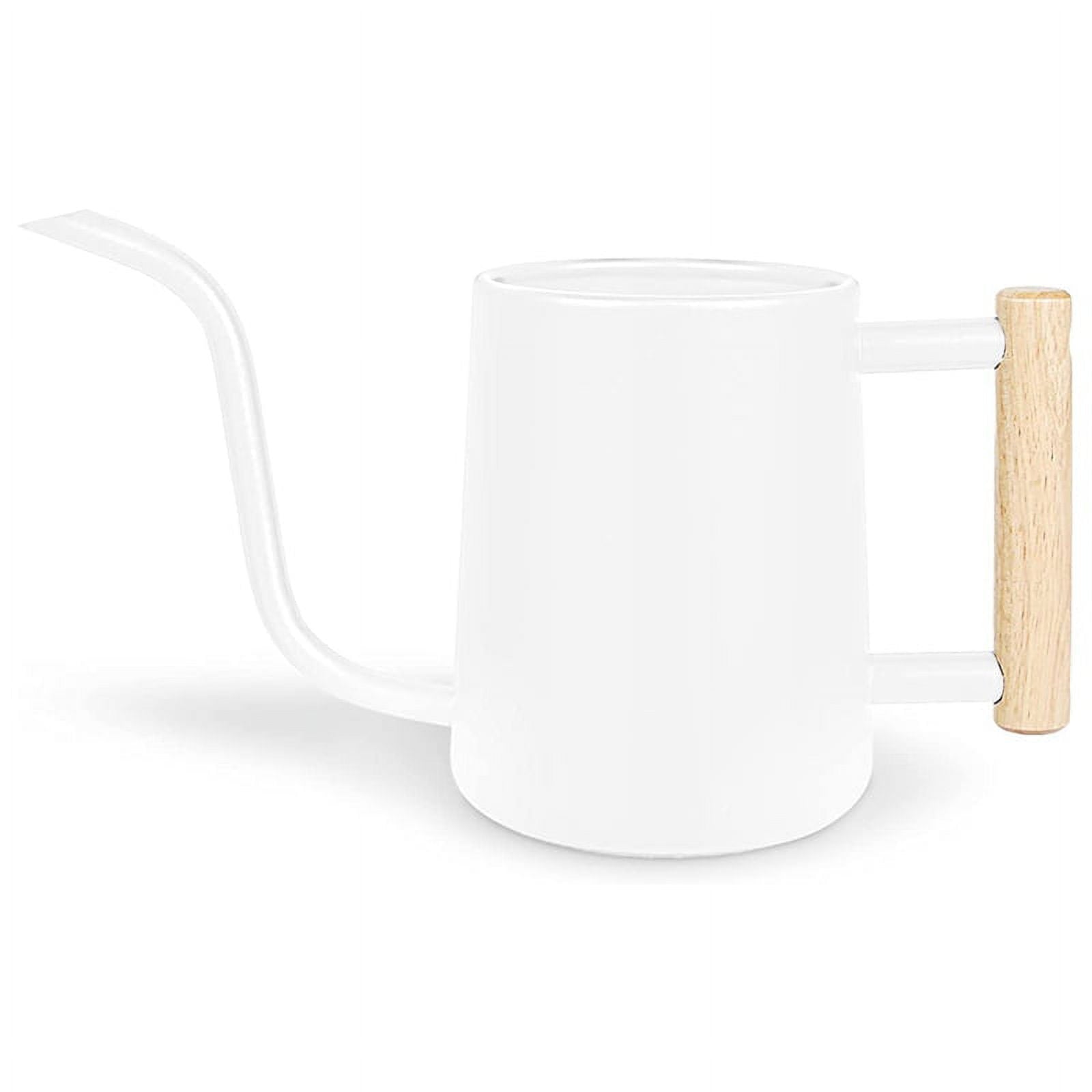 Watering Can Indoor Plants, 35 /1000 Ml Metal Stainless Steel Watering Can Pot with Long Spout for Indoor House White